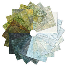 Load image into Gallery viewer, 20 Kaufman Batik Fat Quarters, FQ-2156-20,  Patterns In Nature
