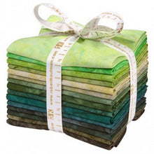 Load image into Gallery viewer, Kaufman Prisma Dye Fat Quarters, FQ-832-15, Rainforest Colorstory
